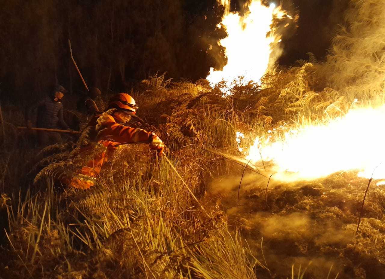 Kebakaran Gunung Bromo Menjalar ke Gunung Batok