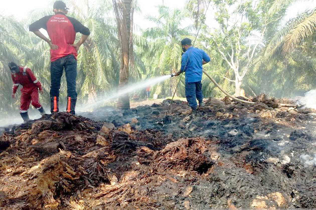 Kebakaran Hutan dan Lahan Dipicu Cuaca Panas di Aceh Tamiang
