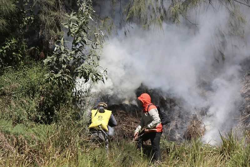 Kebakaran Hutan dan Lahan Terjadi Lagi di Kawasan Bromo