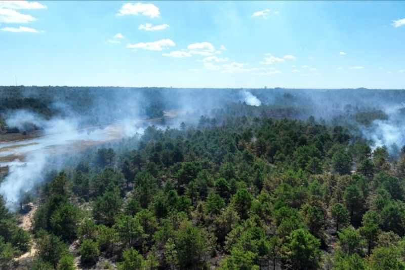 Kebakaran Hutan di Ekuador akibatkan Enam Terluka dan Ratusan Orang Dievakuasi