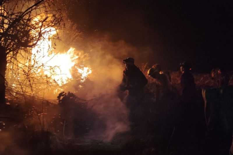 Kebakaran Hutan di Gunung Papandayan, Jalur Pendakian Ditutup