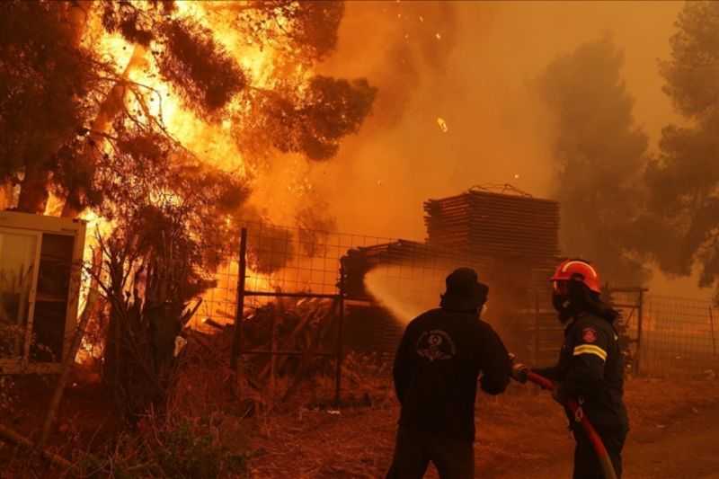 Kebakaran Hutan di Mediterania timur Diperparah oleh Perubahan Iklim