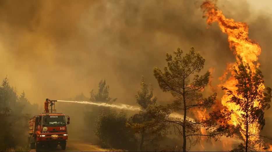 Kebakaran Hutan di Turki Menewaskan 12 Orang dan Menghancurkan Ternak