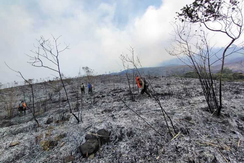 Kebakaran Hutan, Jalur Pendakian Gunung Arjuno Ditutup