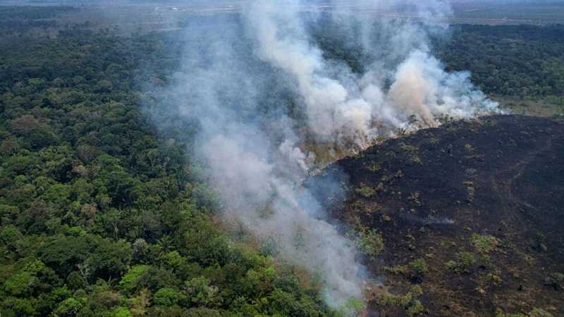 Kebakaran Hutan Terburuk di Amazon Brazil Terjadi Selama 6 Bulan dalam 20 Tahun