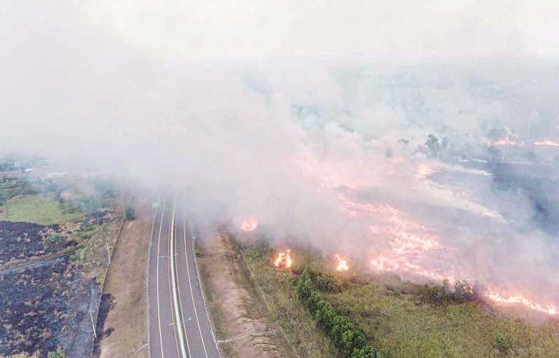 KEBAKARAN LAHAN DI DEKAT TOL PALEMBANG-INDRALAYA