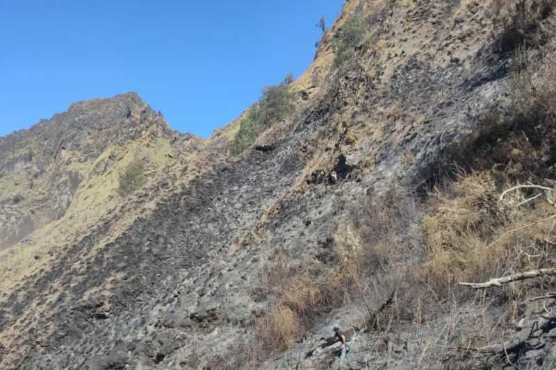 Kebakaran Lahan di Kawasan Gunung Rinjani Dipicu Cuaca Panas