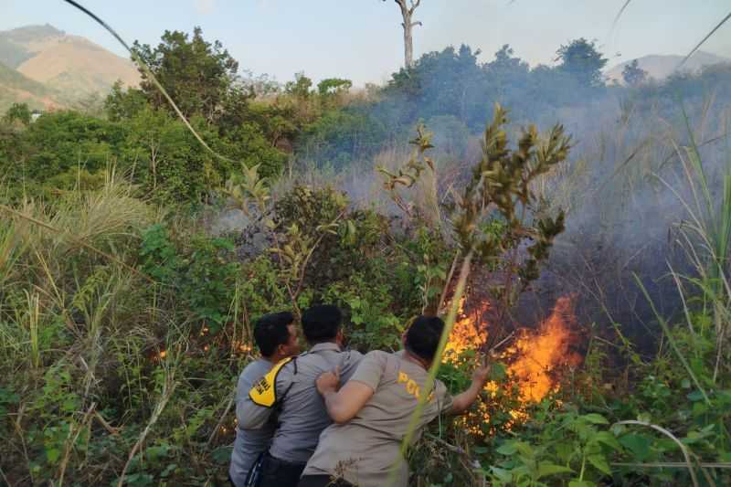 Kebakaran Lahan di Taman Nasional Gunung Rinjani Telah Padam