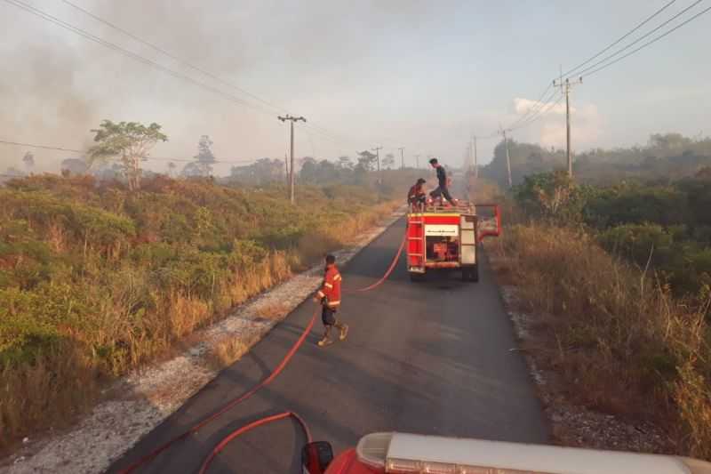 Kebakaran Lahan Seluas 5 Ha di Natuna Berhasil Dipadamkan