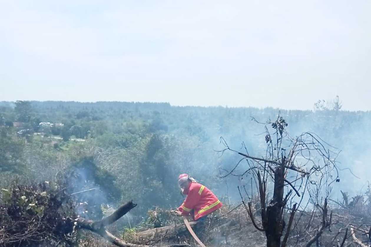 Kebakaran Lahan Seluas Satu Hektare di Aceh Jaya Berhasil Diatasi