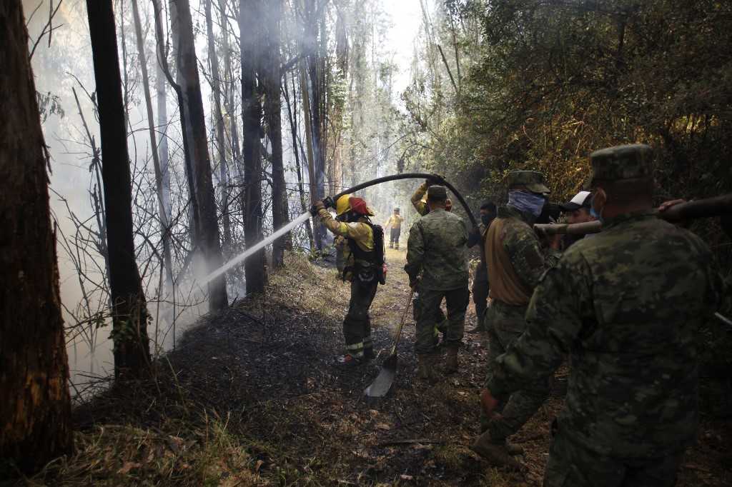 Kebakaran Melanda Hutan Ekuador Akibat Kekeringan 2