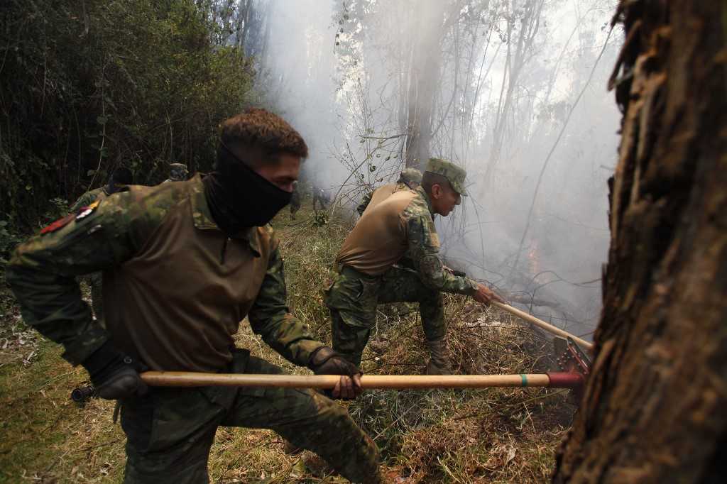 Kebakaran Melanda Hutan Ekuador Akibat Kekeringan 3