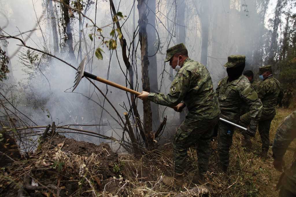 Kebakaran Melanda Hutan Ekuador Akibat Kekeringan 5