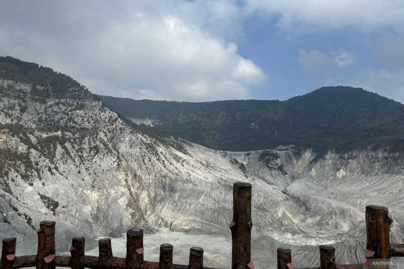 Kebakaran Sebabkan Area Tangkuban Perahu Ditutup Sementara hingga Api Padam