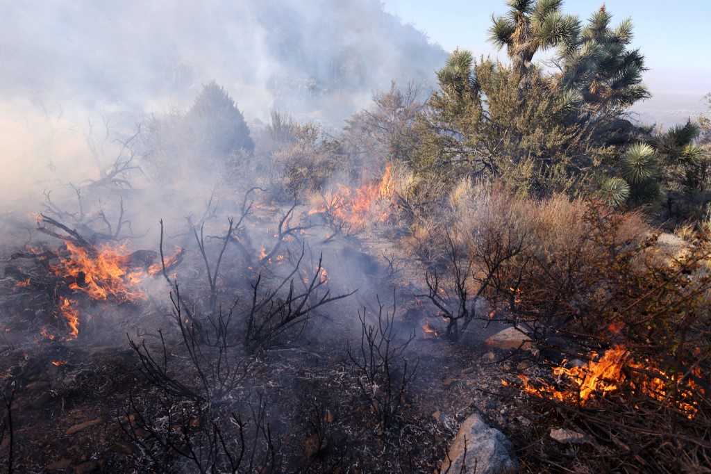 Kebakaran Semak di California Selatan Hanguskan Ratusan Hektare Lahan 2