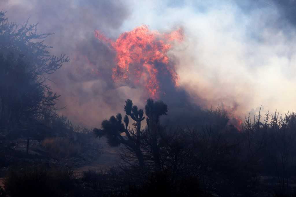 Kebakaran Semak di California Selatan Hanguskan Ratusan Hektare Lahan 4