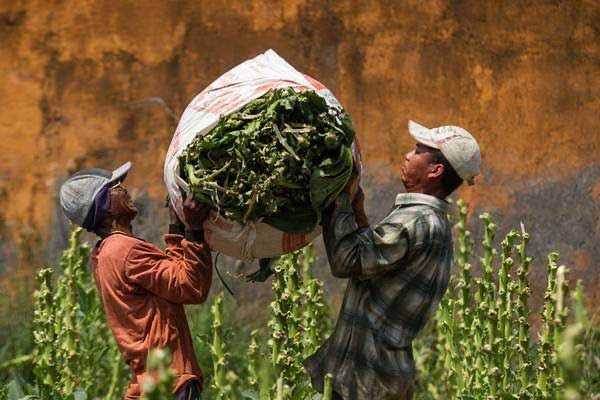 Kebijakan IHT Sebagai Sektor Strategis Penopang Ekonomi Nasional, Wajib Berdaulat