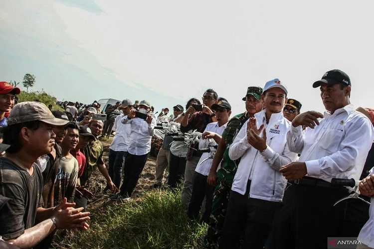 Kelanjutan Program Food Estate Harus Dirancang Secara Matang