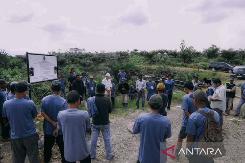 Kelompok Tani Ini Menang Gugatan Sengketa Lahan di Tingkat MA