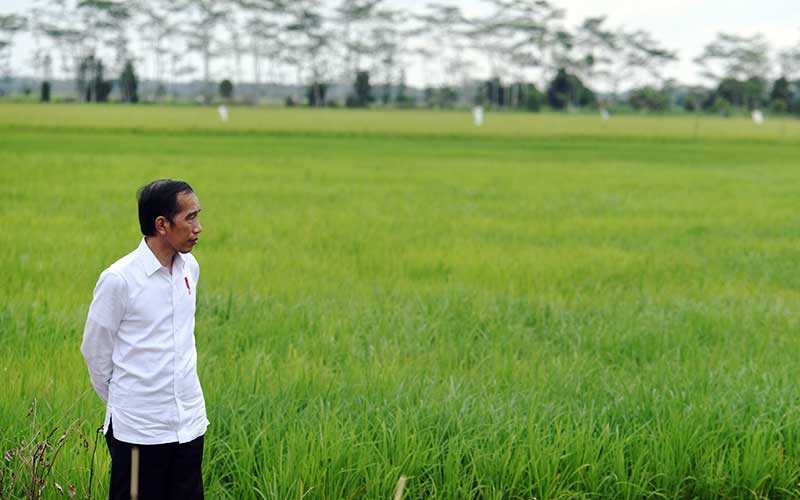 Kementan Tanami 19.000 Hektar Lahan Food Estate Kalteng