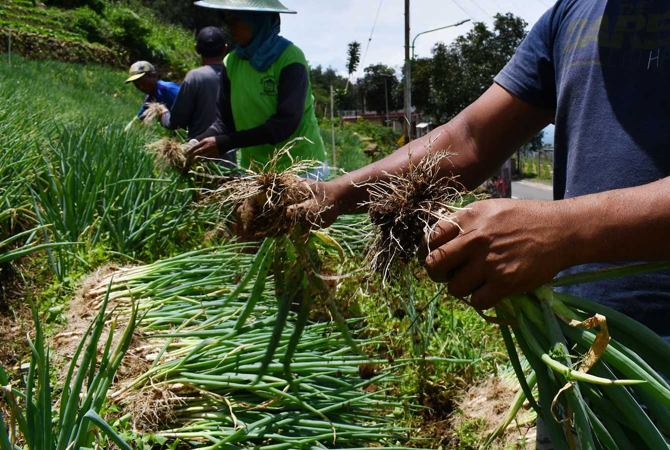 Kenaikan Harga