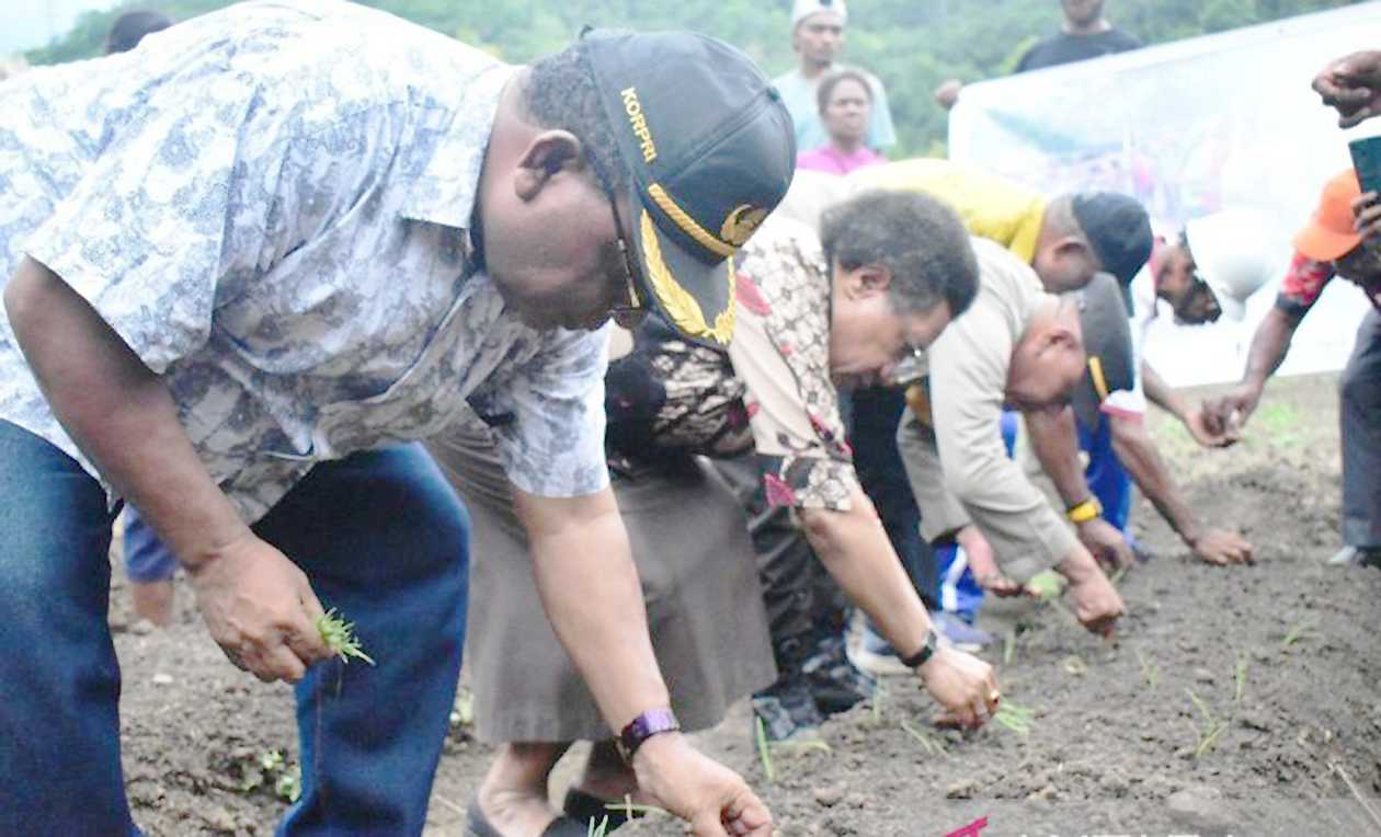 Kendalikan Inflasi, Distanhorti Dorong Gereja Jayapura Tanam Cabai