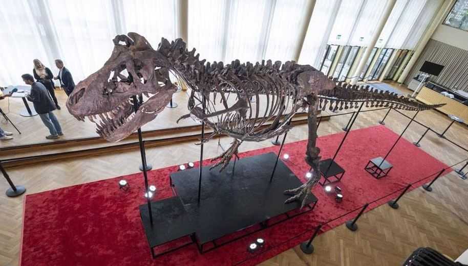 Kerangka T-Rex Dijual Seharga 6,1 Juta Dolar di Rumah Lelang Swiss