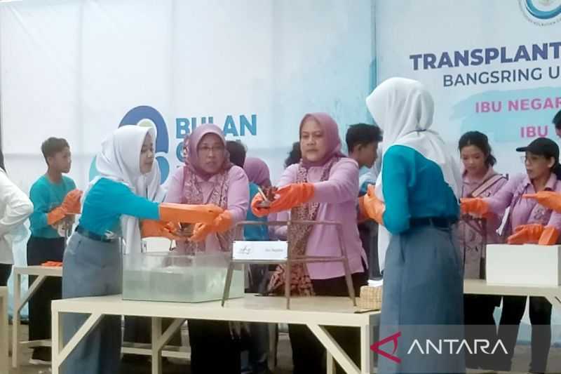 Keren, Ibu Negara Transplantasi Terumbu Karang Bersama Pelajar di Banyuwangi