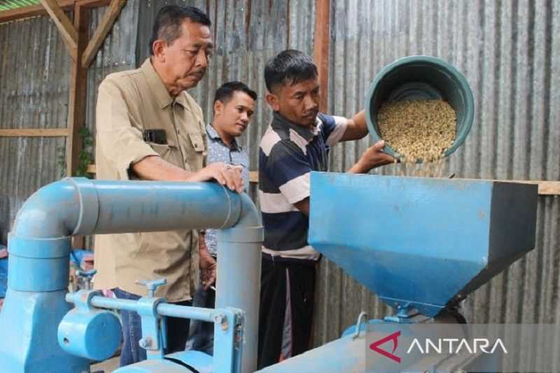 Keren! Kopi Arabika Sipirok Tapanuli Rambah Pasar Australia dan Tiongkok