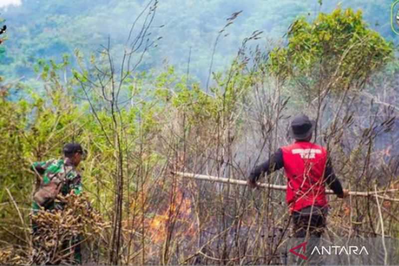 Kerja Keras Ini Membuahkan Hasil, Balai TNGR: Kebakaran Lahan Berhasil Dipadamkan