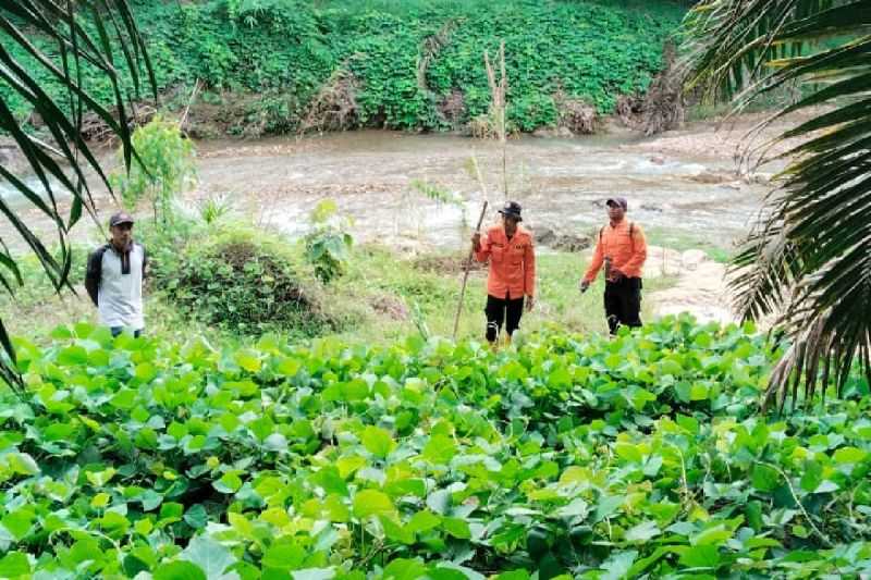 Kerja Keras Ini Membuahkan Hasil, SAR Gabungan Temukan Warga yang Hilang Tiga Hari di Hutan