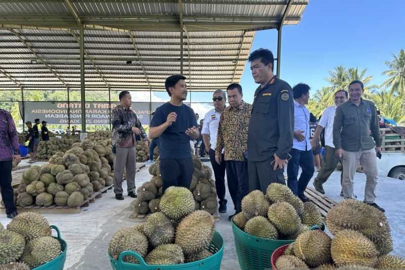 Kerja Keras, Menko Luhut Bidik Sulteng untuk Kembangkan Potensi Ekspor Durian