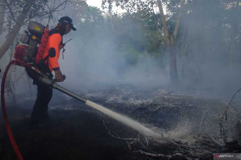 Kerja Sinergis Atasi Kebakaran, BNPB Beri Dukungan Penguatan Penanganan Karhutla Kalbar