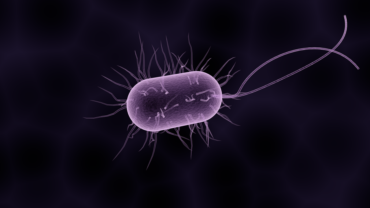 Ketahui Bakteri Baik dalam Tubuh Manusia, Berikut Fungsinya