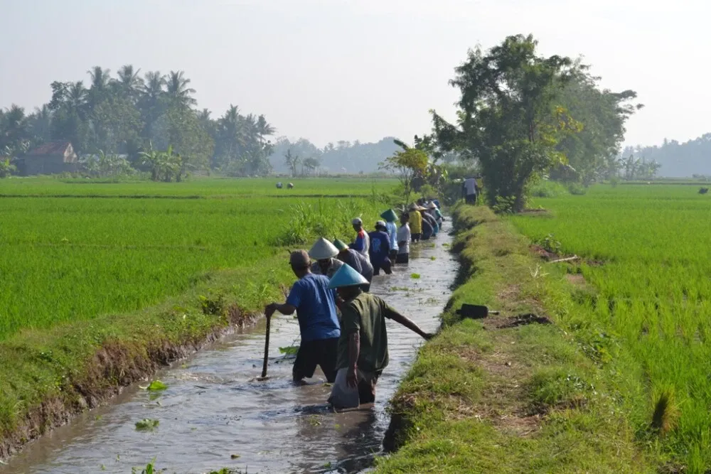 Keterbatasan Air Lahan Jadi Prioritas