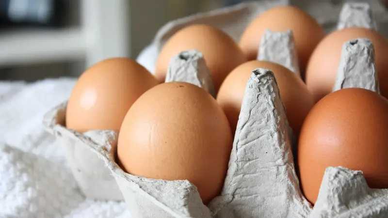 Ketersediaan Telur dan Daging Terus Dipantau