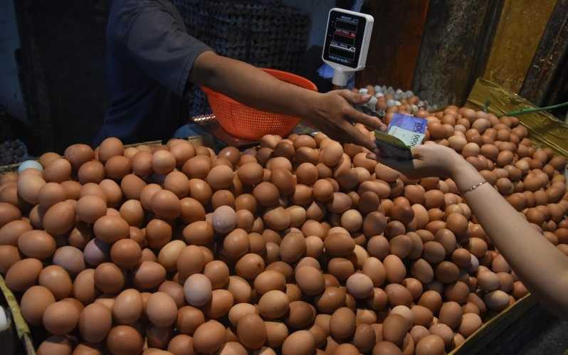 Ketersediaan Telur di Indonesia Timur Aman