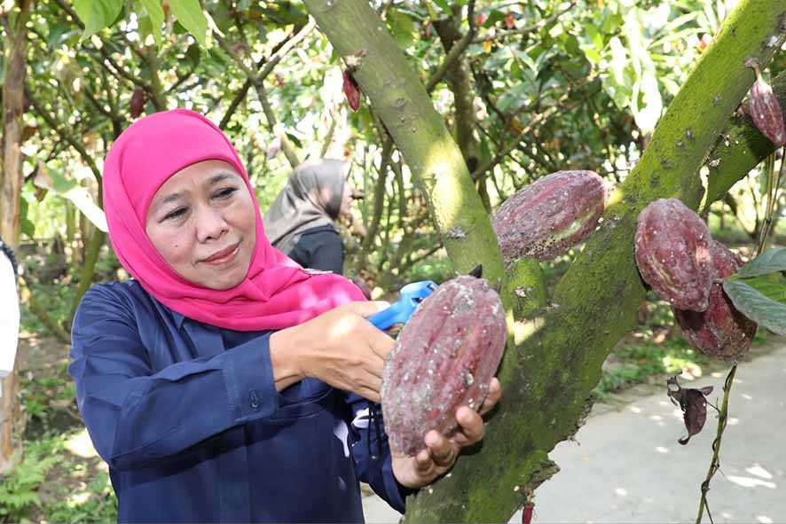 Khofifah Minta Daerah Kembangkan Potensi Ekonomi Desa