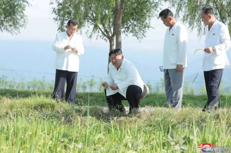 Kim Jong Un Kunjungi Daerah Pertanian yang Dilanda Topan