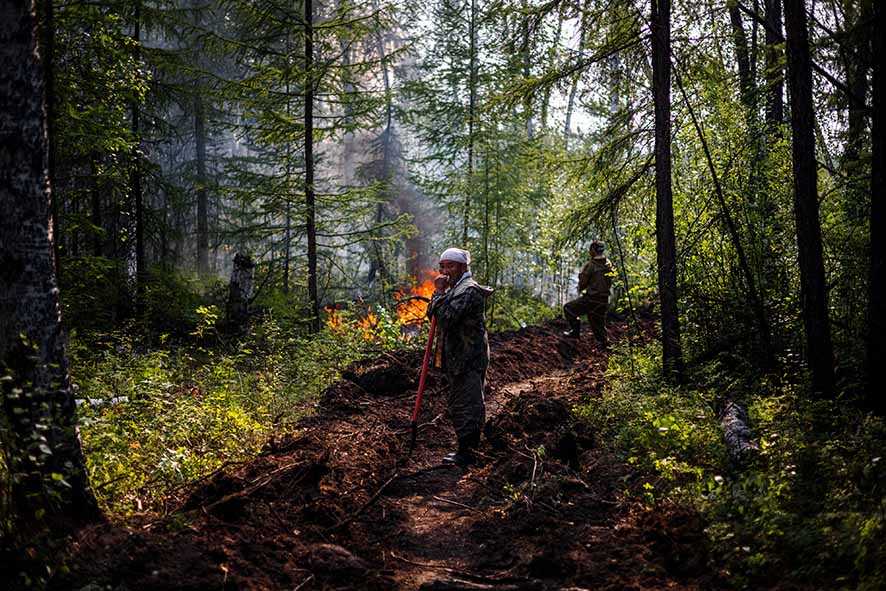 Kiprah Tim Damkar yang Kewalahan Hadapi Kebakaran Hutan di Siberia