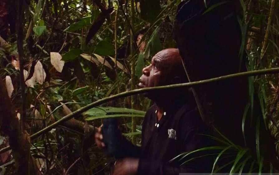 KLHK Apresiasi Peran Masyarakat Adat Papua Menjaga Hutan