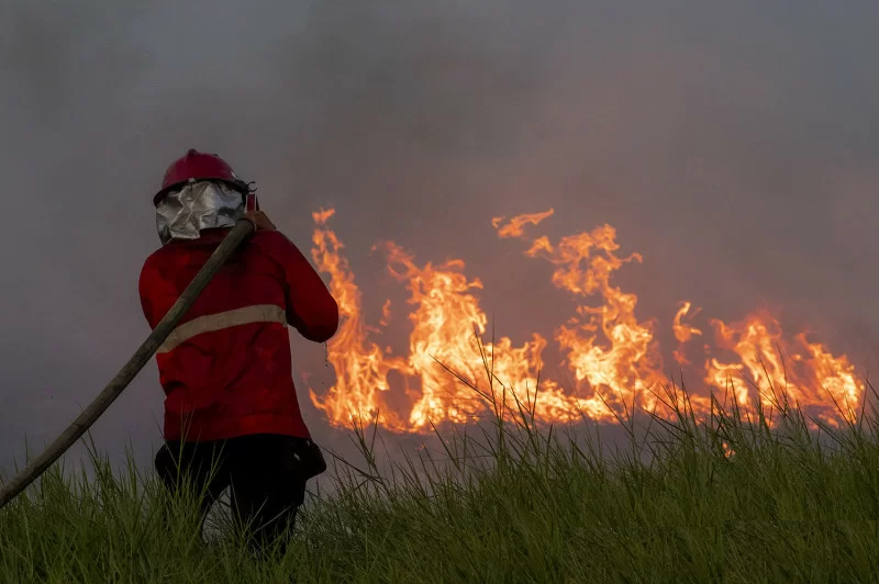 KLHK: Areal Hutan dan Lahan yang Terbakar Bertambah Luas Pada 2021
