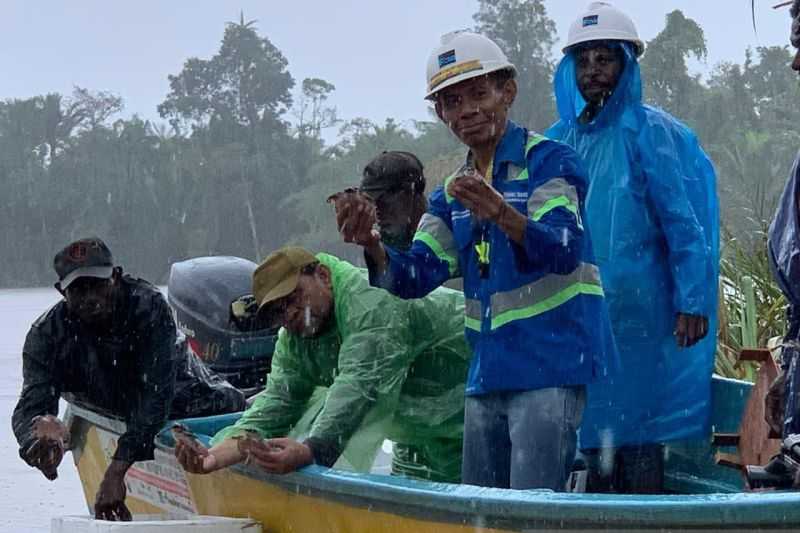 KLHK Lepas Liar 4.605 Kura-kura Moncong Babi di Hutan Adat Nayaro Mimika