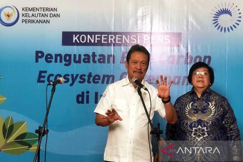 KLHK Tegaskan Komitmen Memperkuat Ekosistem Karbon Biru di Indonesia