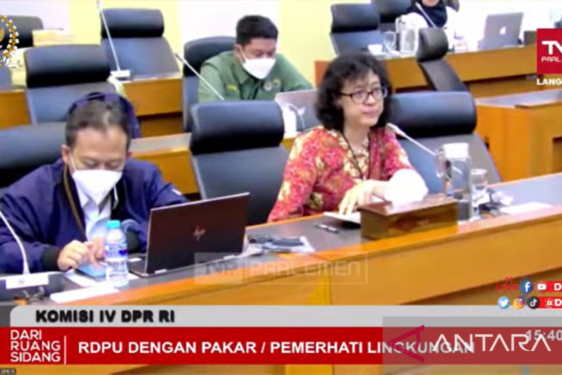 KLHK: Tutupan Hutan di Indonesia Melebihi Target yang Ditetapkan Sebesar 30 Persen