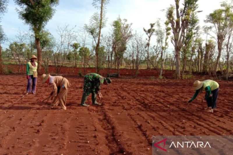 Kodim Sumenep instruksikan anggota beri pendampingan kepada petani