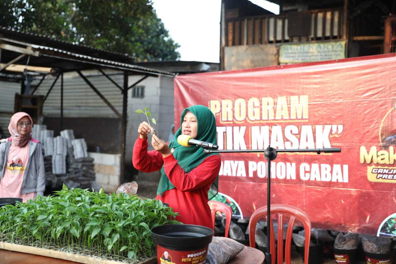 Komitmen Jaga Ketahanan Pangan, Mak Ganjar Tanam Ratusan Pohon Cabai di Jakarta Barat 1