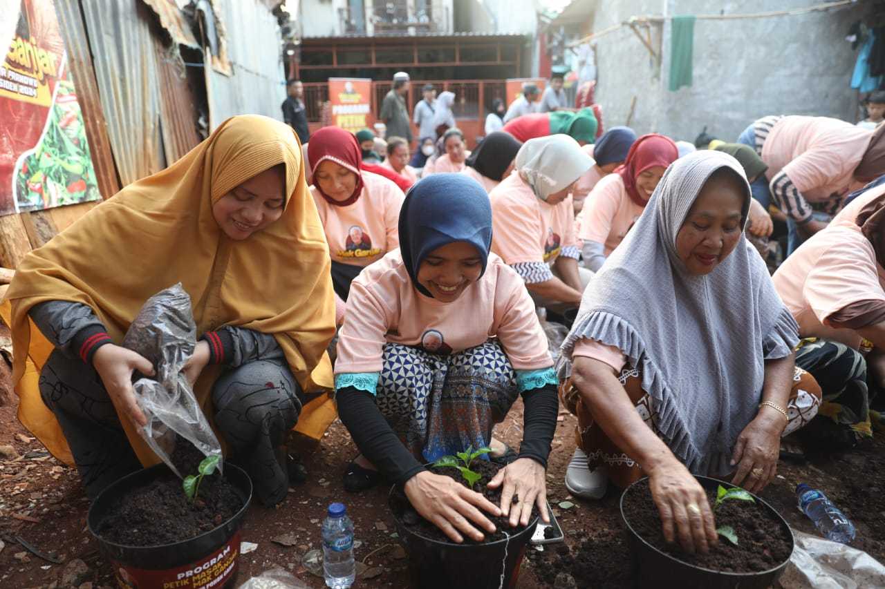Komitmen Jaga Ketahanan Pangan, Mak Ganjar Tanam Ratusan Pohon Cabai di Jakarta Barat 4