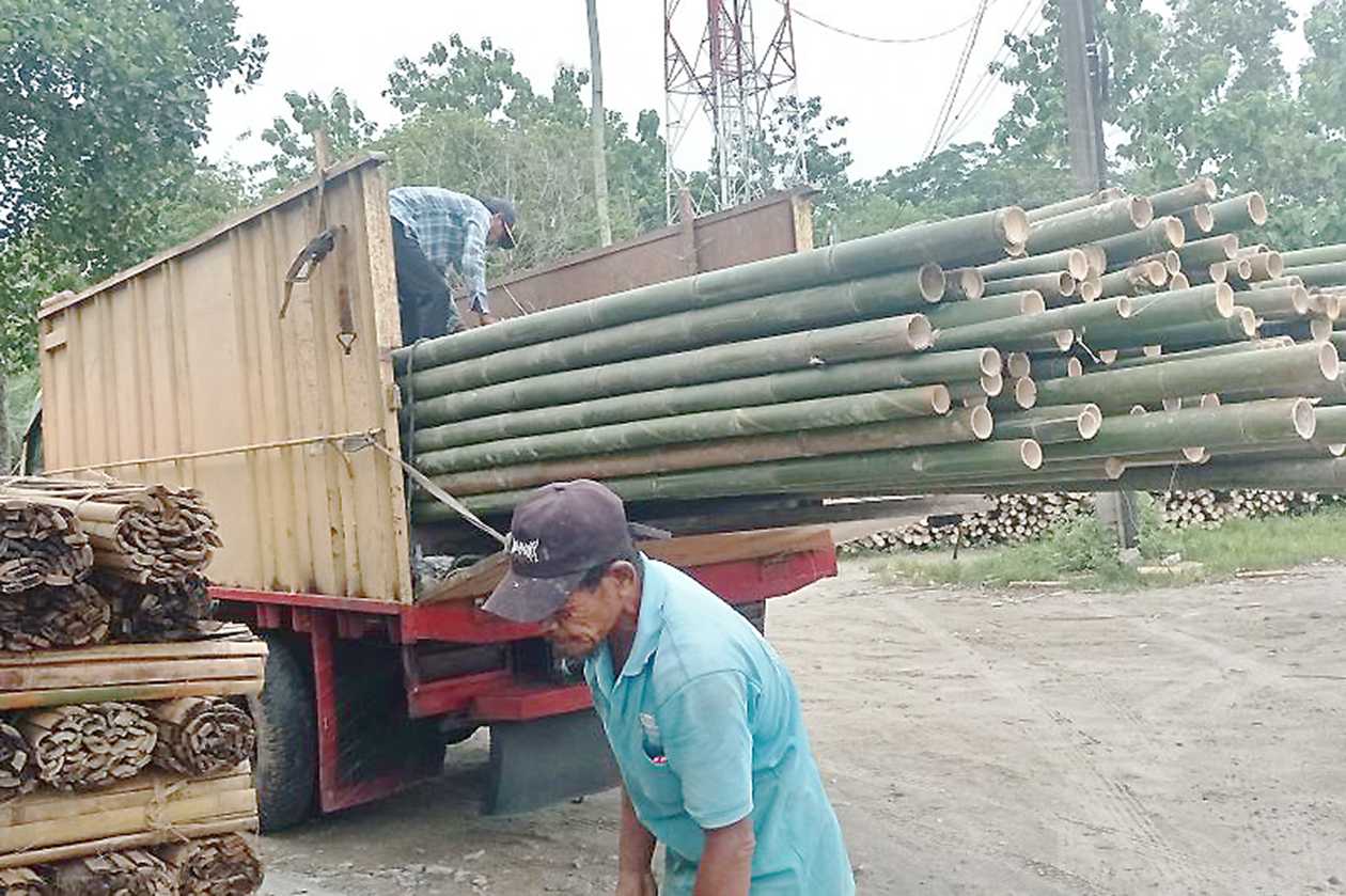 Komoditas Bambu Jadi Andalan Ekonomi Petani di Lebak