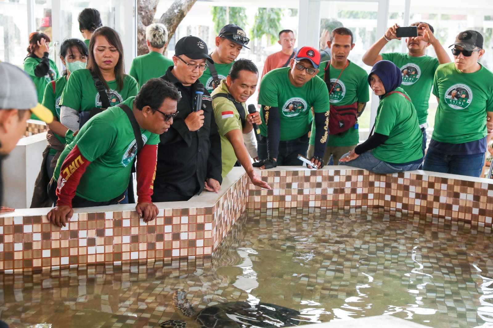 Komunitas Ojol Ganjar Saksikan Pelepasan Penyu, Dukung Pelestarian Hewan Dilindungi di Sukabumi 1